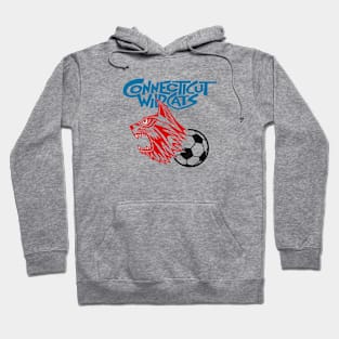 Defunct Connecticut Wildcats ASL Soccer 1973 Hoodie